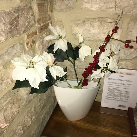 Apartman Mamihouse *