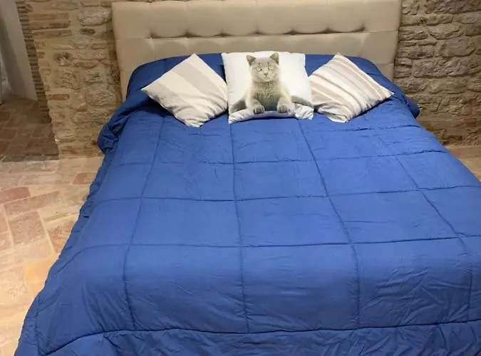 Apartamento Mamihouse